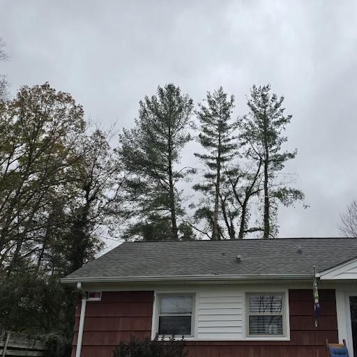 All Photos for M&L Lumber and Excavating in Jonesborough, TN