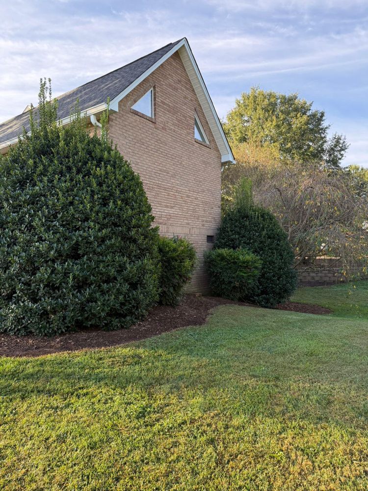All Photos for Brooks Tree Service in Casar, NC
