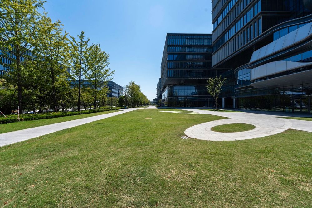 Our Lawn Mowing and Maintenance service provides expert care, ensuring your lawn is healthy, neat, and beautiful. Enjoy a lush outdoor space with our regular trimming and personalized upkeep solutions tailored to your needs. for D’s Lawncare in Killeen, TX