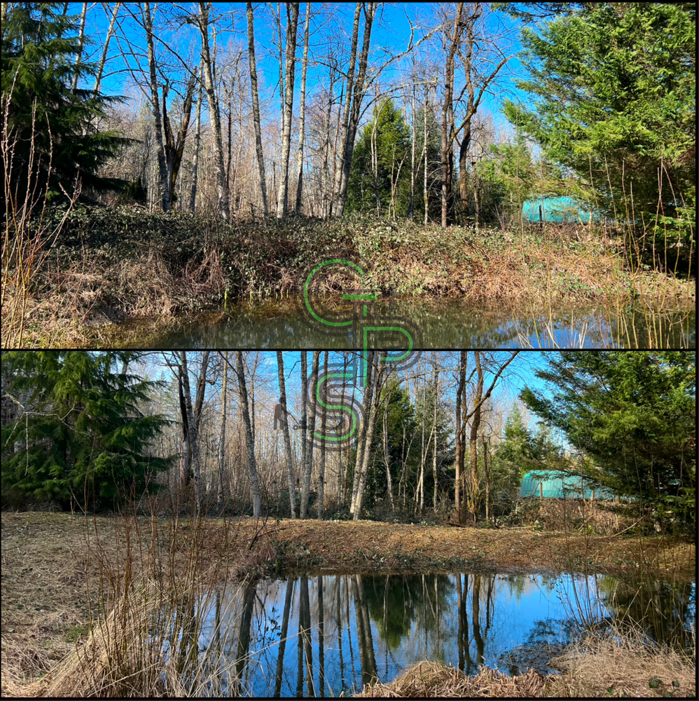 Blackberry Mulching - Brush Clearing for Golovin Property Services LLC in Marysville, WA