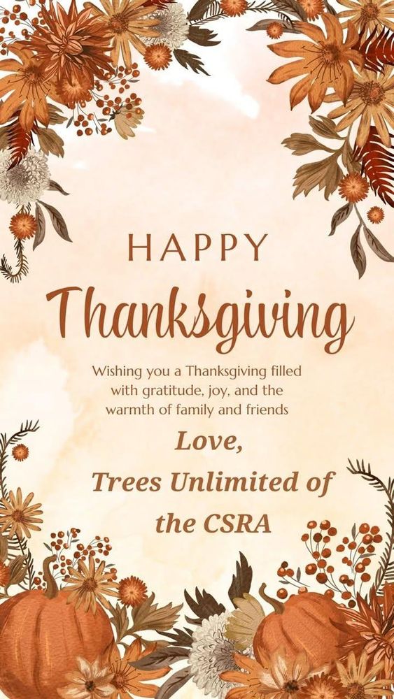 All Photos for Trees Unlimited of the CSRA in Augusta, GA