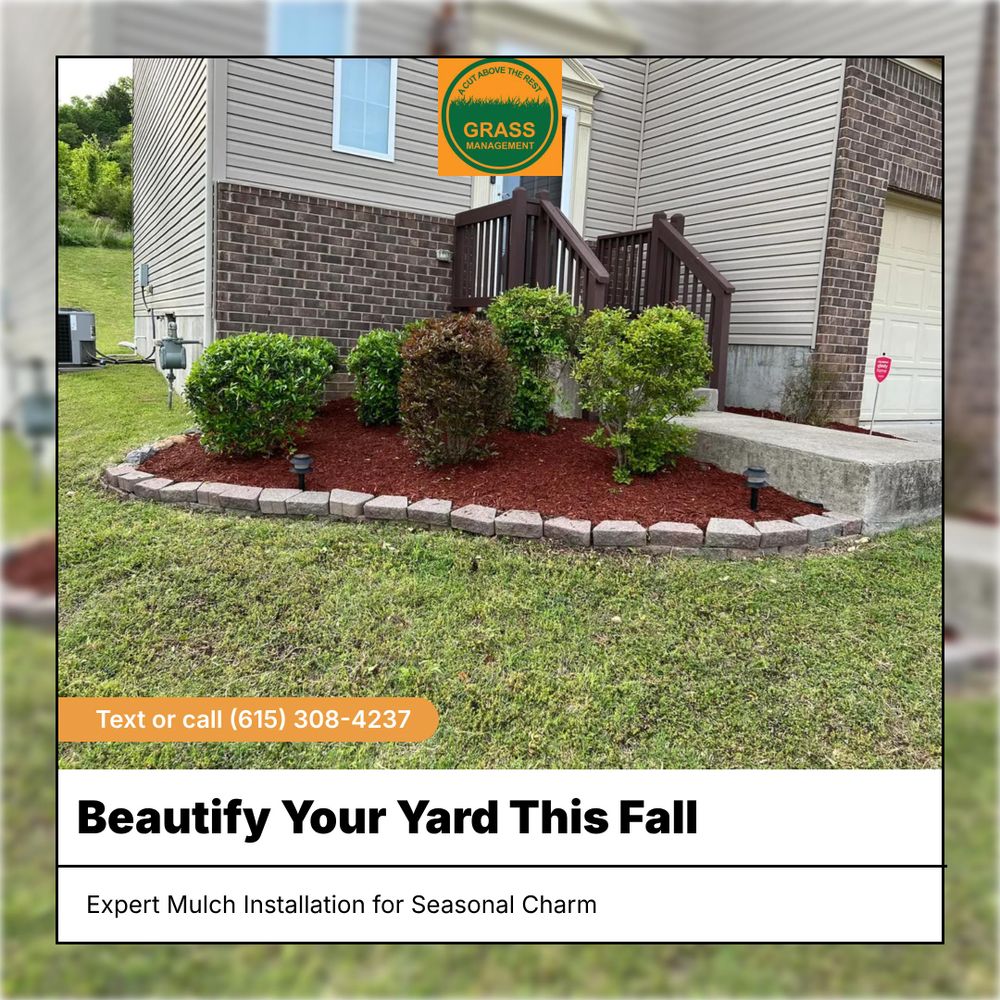 All Photos for Grass Management in Nashville, TN