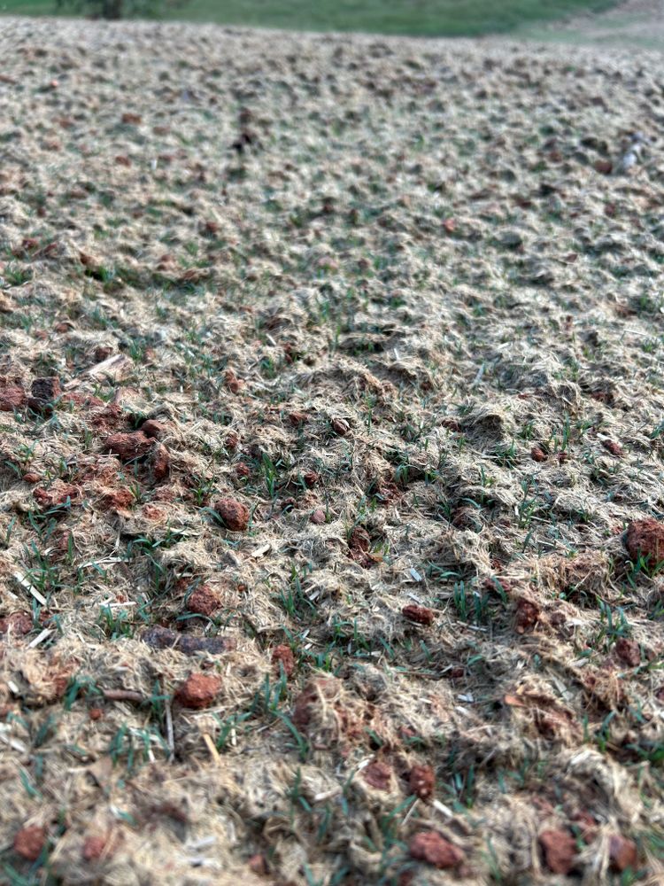 Hydroseeding for Sandy Creek Hydroseeding in Monroe, GA