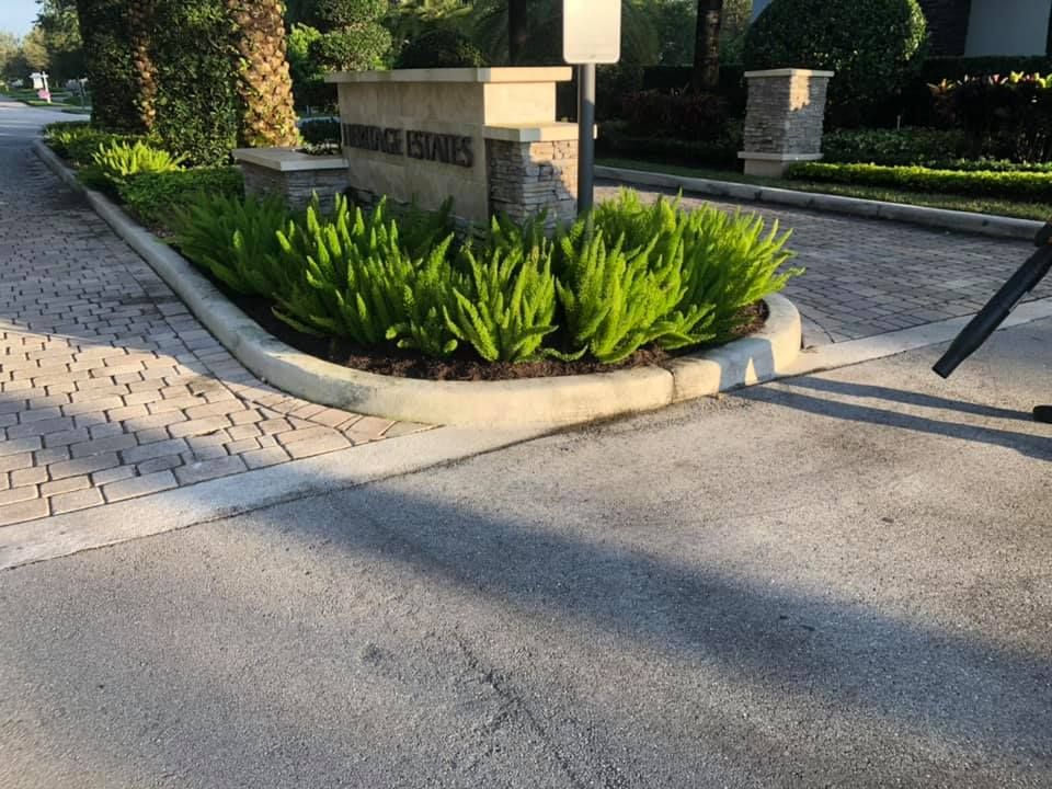 Landscaping for VS Landscaping Services inc. in Fort Lauderdale, FL