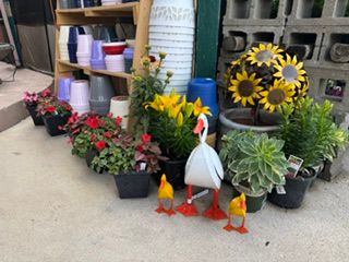 All Photos for Mayfield Landscaping in Staunton, IL
