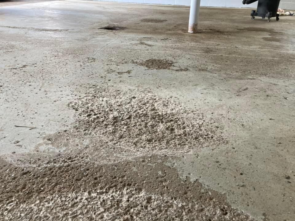 All Photos for Texas Curb N Borders in Houston, TX