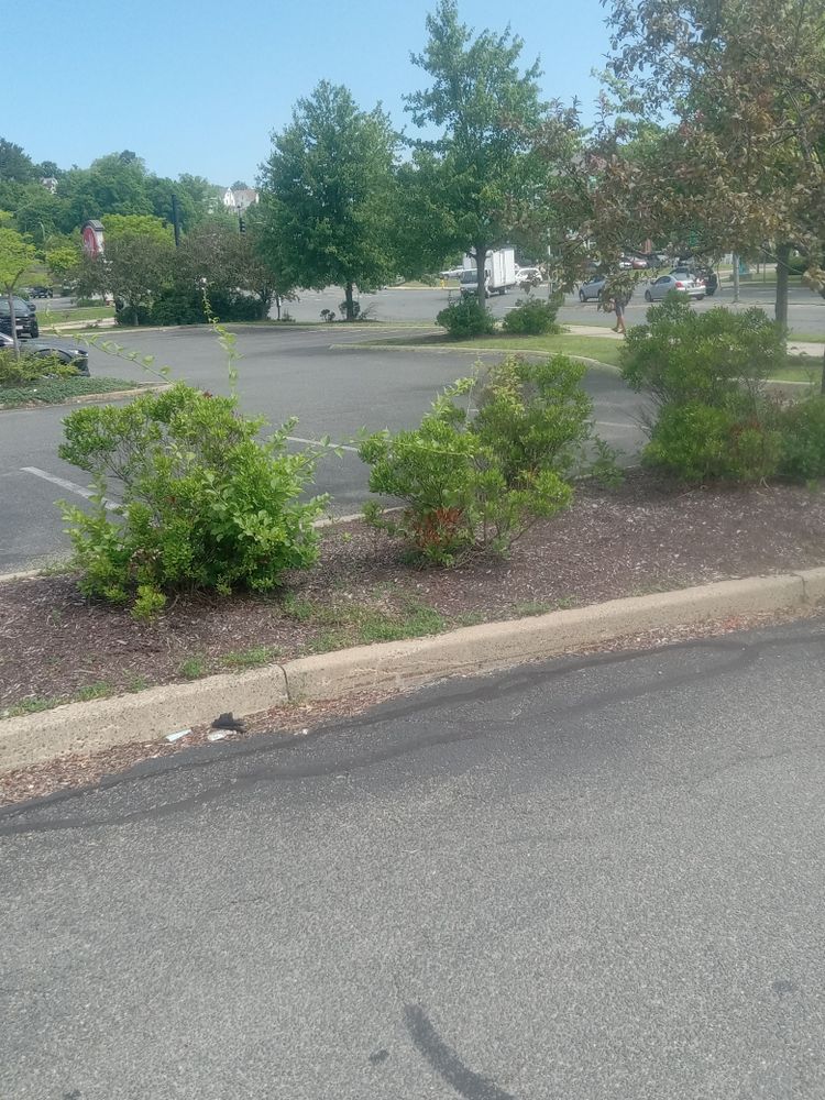 All Photos for K Brown's Property Maintenance in Pittsfield, MA
