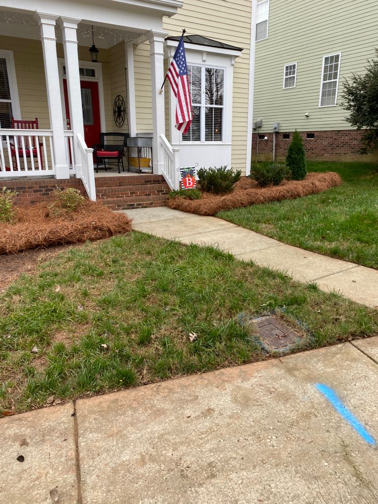 Pine Needle Installation for Dream Cuts Landscaping and Lawn Care LLC in Gastonia, NC