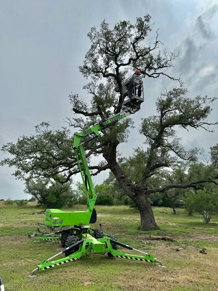 All Photos for Braun Tree Service in Cameron, TX