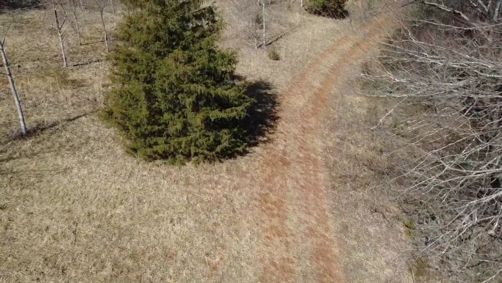 All Photos for DC Excavation in Jackson County, NC