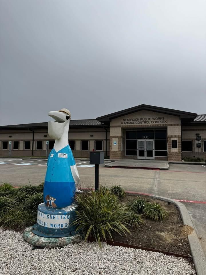 All Photos for Triple O Construction in Rosharon, TX