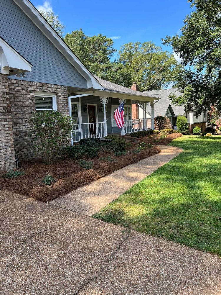 Landscaping for Amis Lawn and Landscape, LLC in Clinton, MS