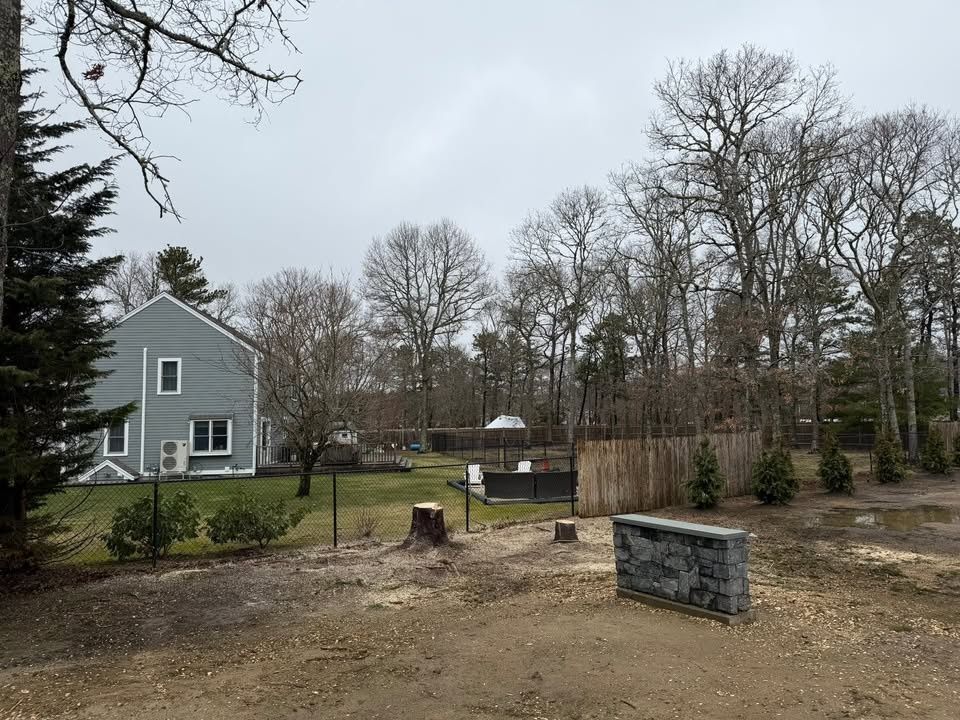 All Photos for Native Roots Tree Service in Cape Cod, MA