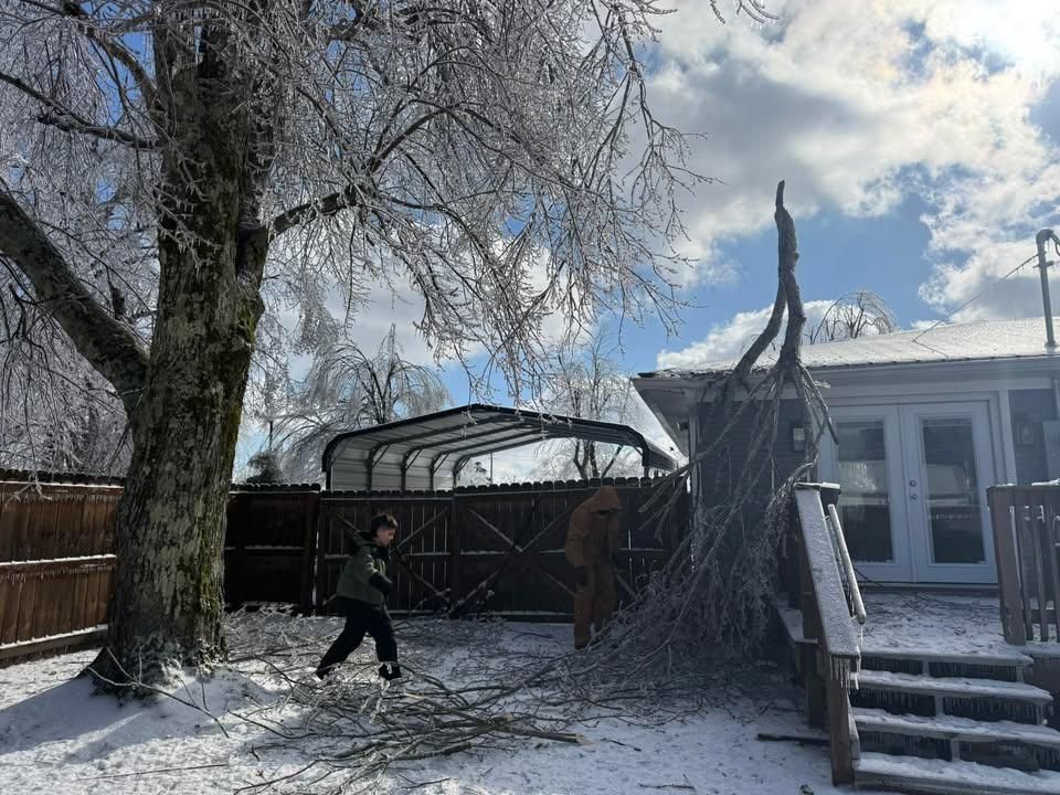 All Photos for Ross Family Tree Service LLC  in Hohenwald, TN