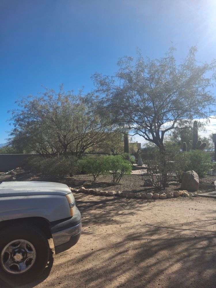 All Photos for Family Landscaping in Phoenix, AZ