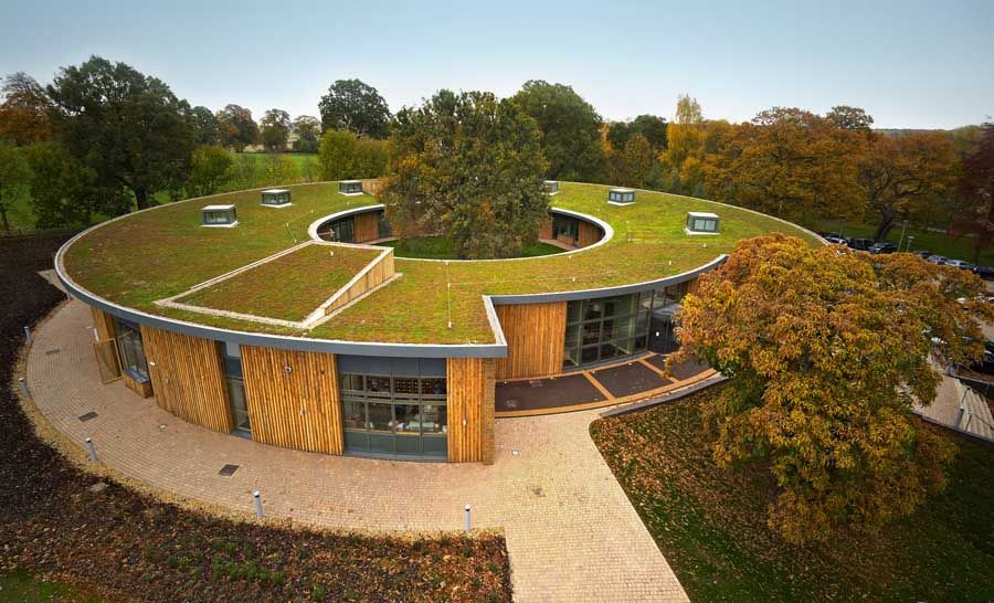 Living Roofs for Live Living NYC in New York, NY