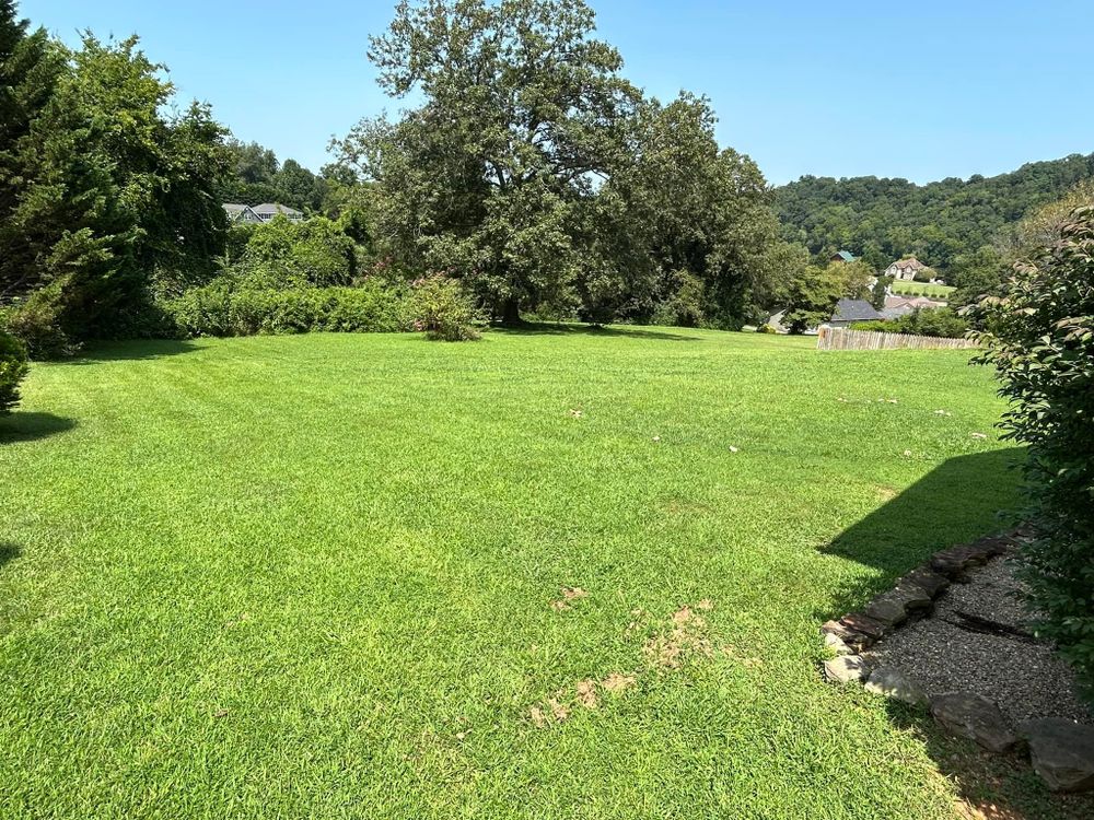 All Photos for TJ’s Landscaping in Knoxville, TN