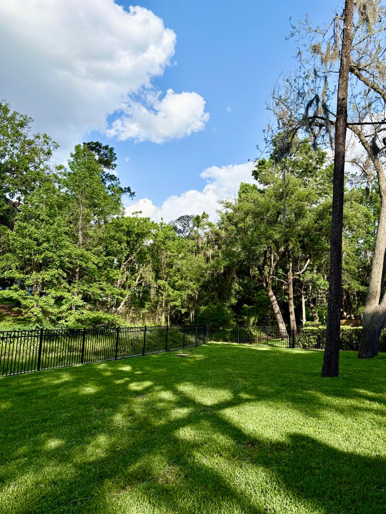 All Photos for Top Notch Tree Experts in Orange Park, FL