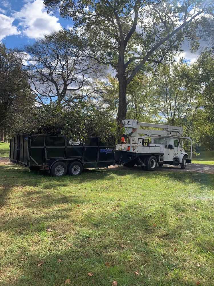 Our Land Clearing service provides efficient fall and spring clean up, transforming your property by removing unwanted vegetation, debris, and trees to ensure a clean, beautiful landscape ready for the seasons. for Grainger Tree Service in Blaine, TN