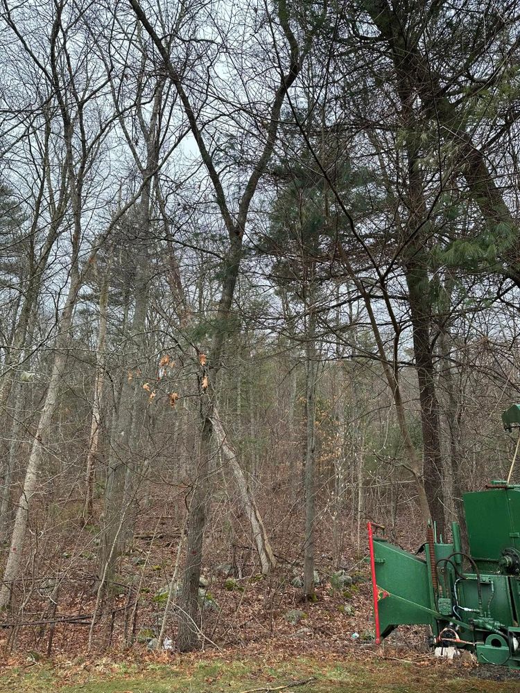 All Photos for Silver City Tree and Landscape in Taunton, MA