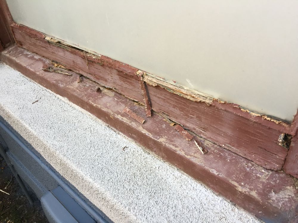 All Photos for Classic Shades Painting Water Damage & Restoration LLC in Mesa, AZ