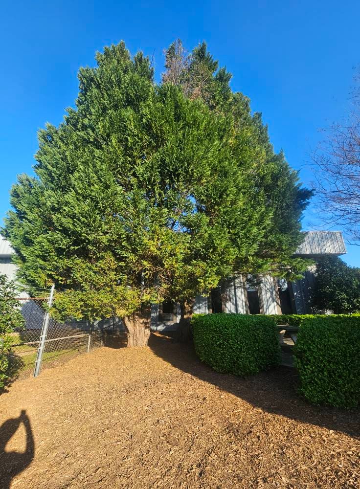 24/7 Storm Response for Sasquatch Tree Services LLC in Spartanburg, SC