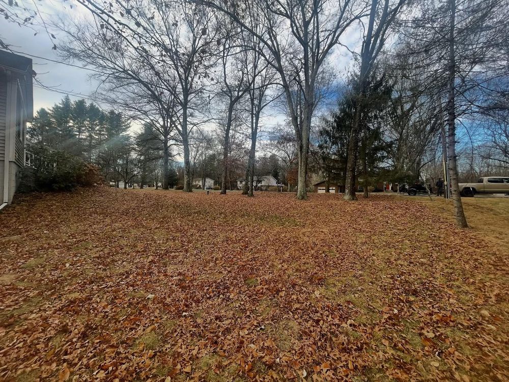 All Photos for Ardisi Property Maintenance LLC in Poughkeepsie, NY 