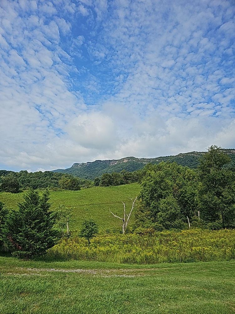 Home Softwash for Cumberland Gap Pro Wash LLC in Harrogate, Tennessee