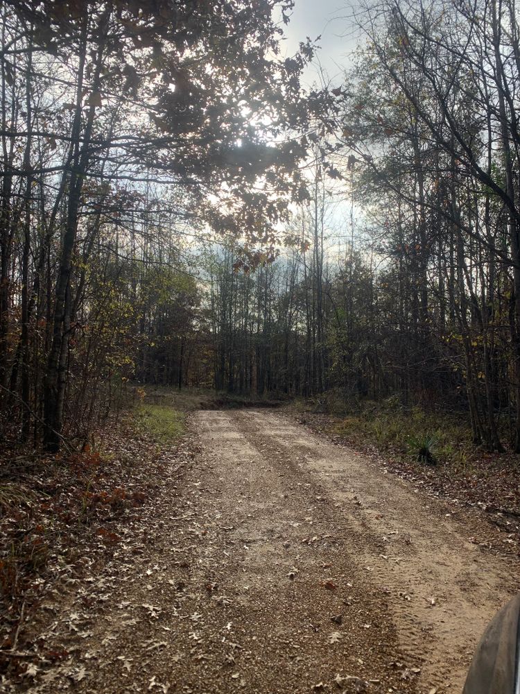 All Photos for Polasini Land Development in Starkville, MS