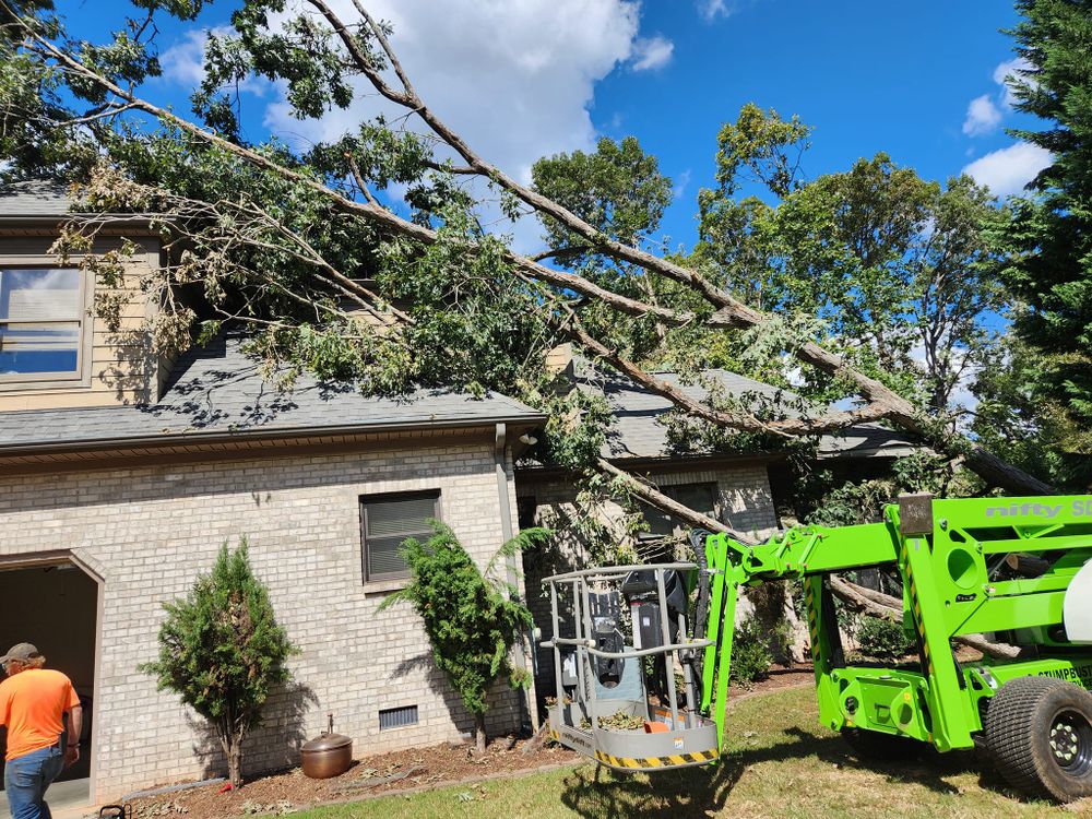 Tree Removal for Stumpbusters Tree Service in Louisa County, VA