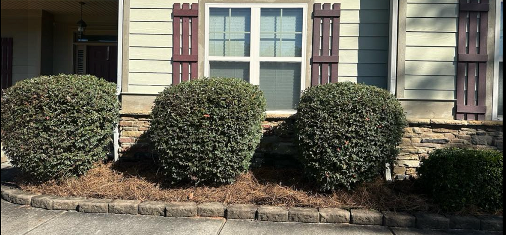 Our professional mulch installation service enhances your landscape's health and appearance. We expertly apply high-quality pine straw to enrich soil, retain moisture, suppress weeds, and boost your garden’s aesthetic appeal. for Hedgecraft Landscaping LLC in Senoia, GA