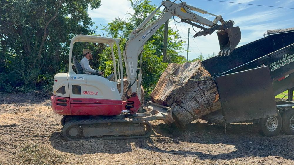 All Photos for T N L - Tree and Land Service in Reynolds, GA