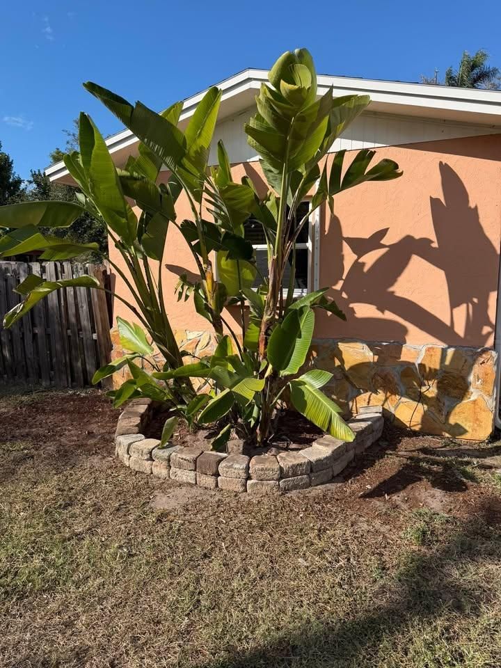 All Photos for Damian’s Tree Care in Sarasota, FL