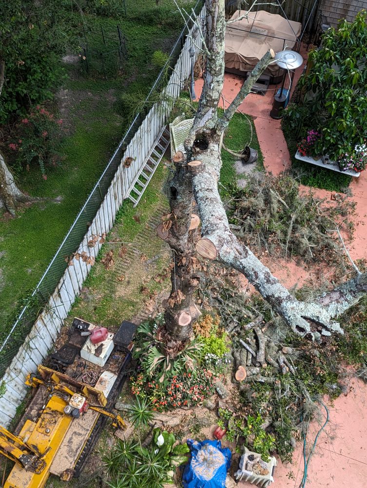 All Photos for Regal Tree Service and Stump Grinding in Wauchula, FL
