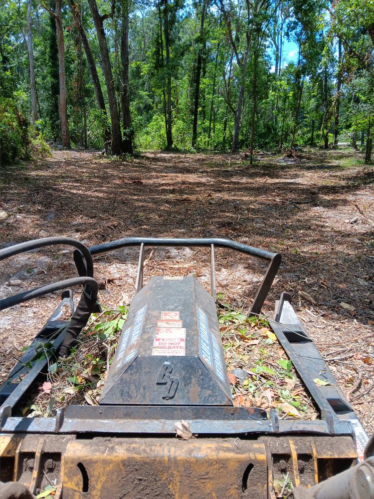 Our Stump Removal service efficiently eliminates unsightly tree stumps, enhancing your property's appearance and safety. Trust our experts to restore your landscape's beauty with minimal disruption and professional care. for Asbell's Tree & Land Services in Gilchrist County, FL