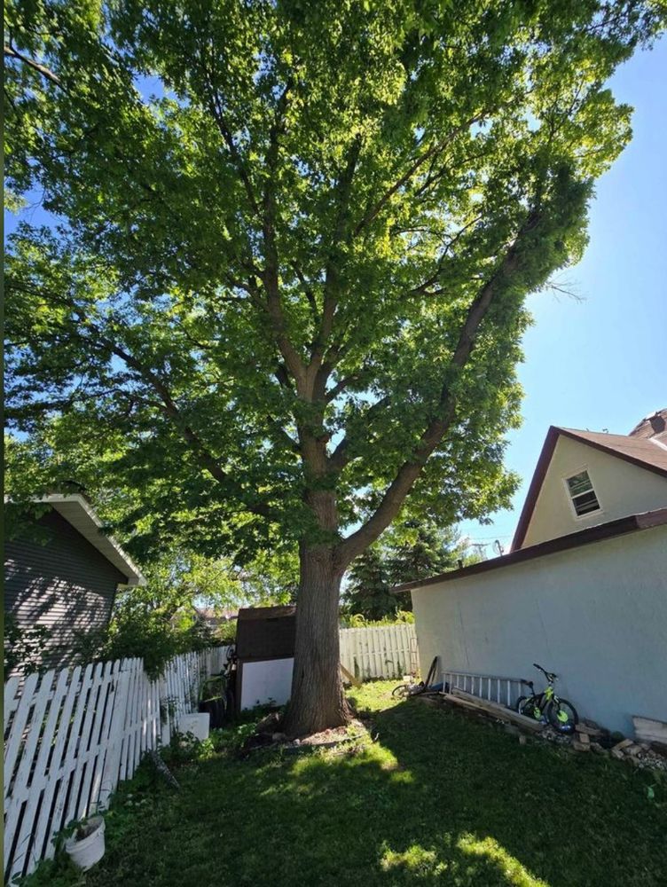 Foundation Laying for Preeminent in Memphis, TN