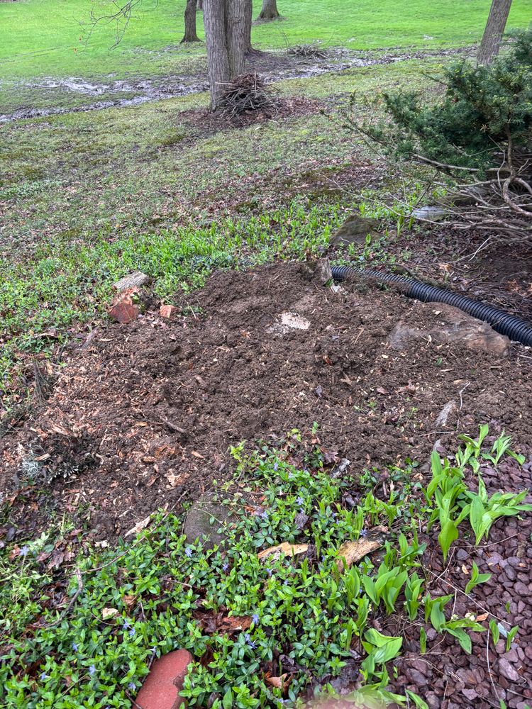 All Photos for Dean's Stump Removal in Youngstown, OH