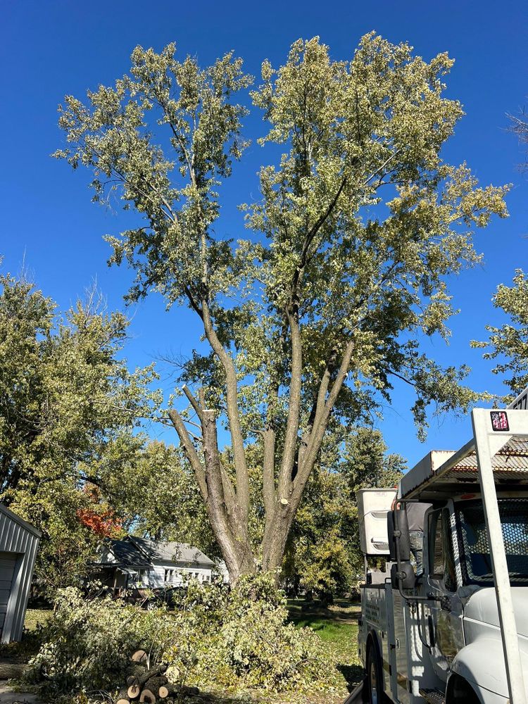 All Photos for Baker Professional Services LLC in Shelbina, MO