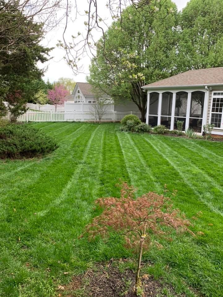 All Photos for Valencia’s Lawncare in Charlottesville, VA