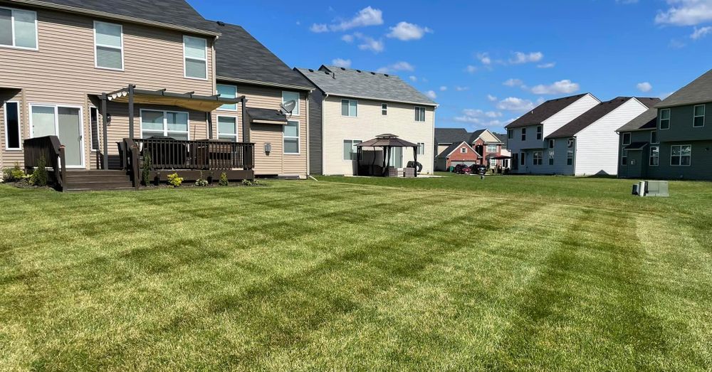 All Photos for Mow Pros in Westland, MI