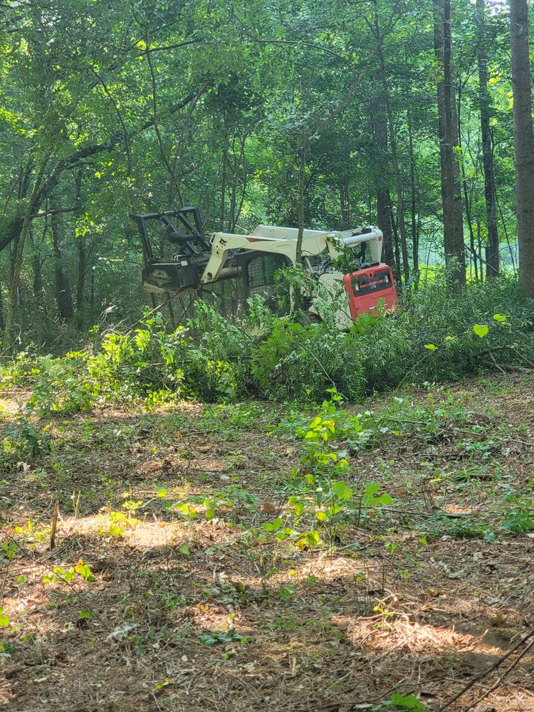 All Photos for Z's Land Management & Forestry Mulching in Smithville, TN