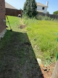 All Photos for G.Turf Service in Cross Roads, TX