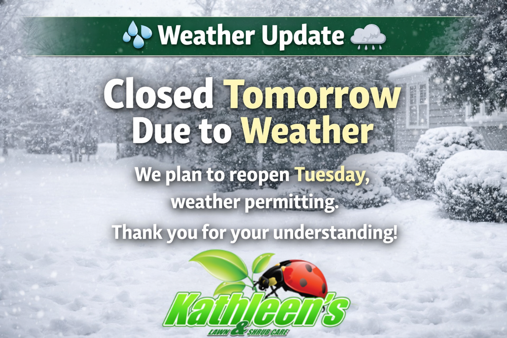 All Photos for Kathleen's Lawn & Shrub Care in Augusta, GA