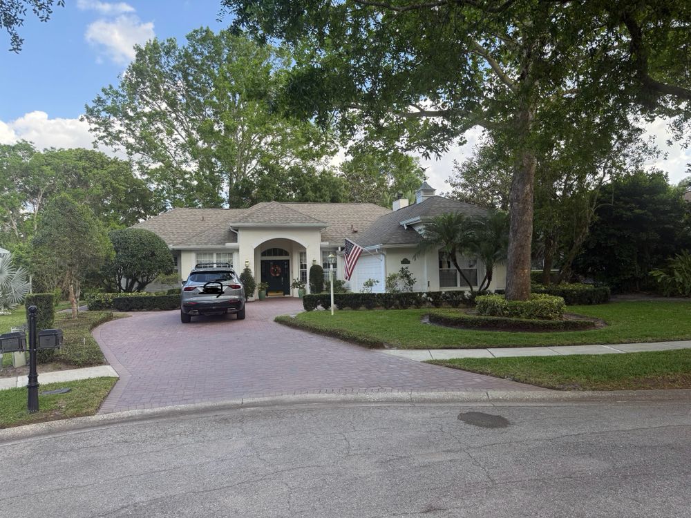 All Photos for Amerigrown Tree And Lawn in Apopka, FL