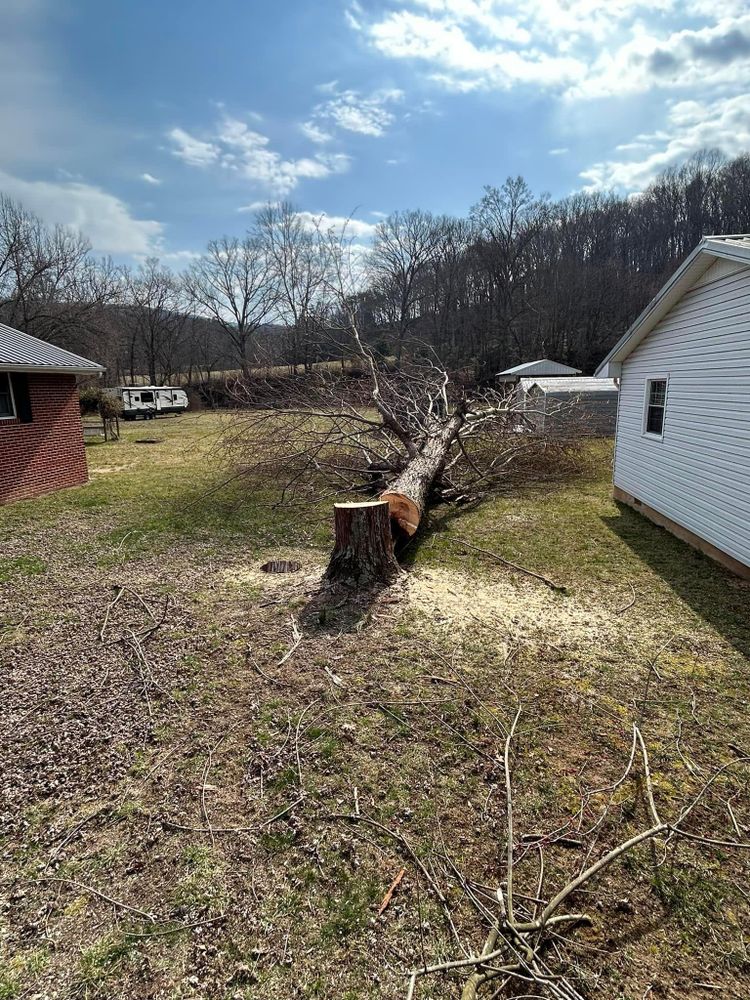 All Photos for NRV Tree Pro, LLC in Narrows, VA