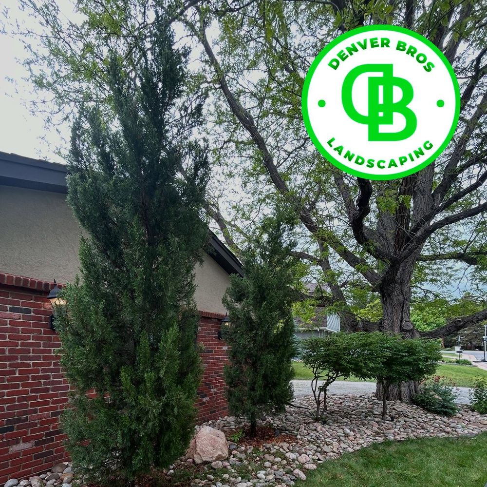 All Photos for Denver Bros Lawn Control in Denver, CO