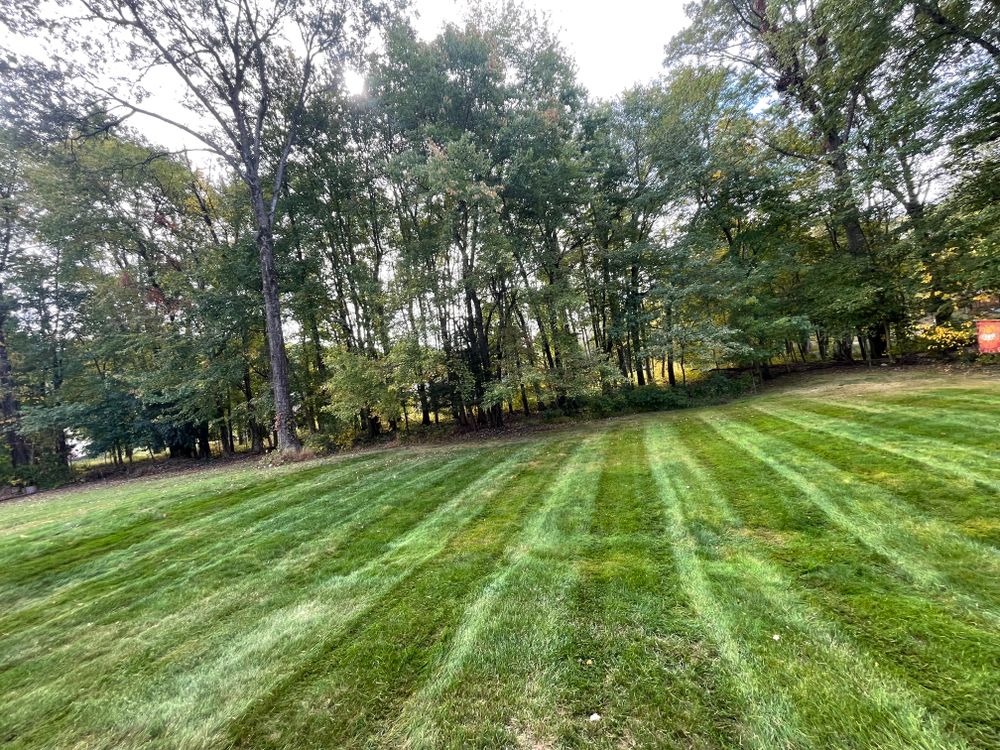 Lawn Care for Ardisi Landscaping & Design in Poughkeepsie, NY 