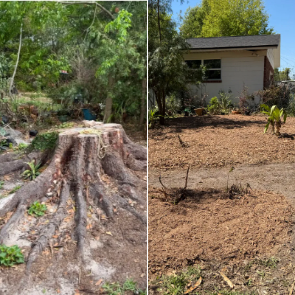 All Photos for Greene Acres Stump Grinding in Plant City, FL