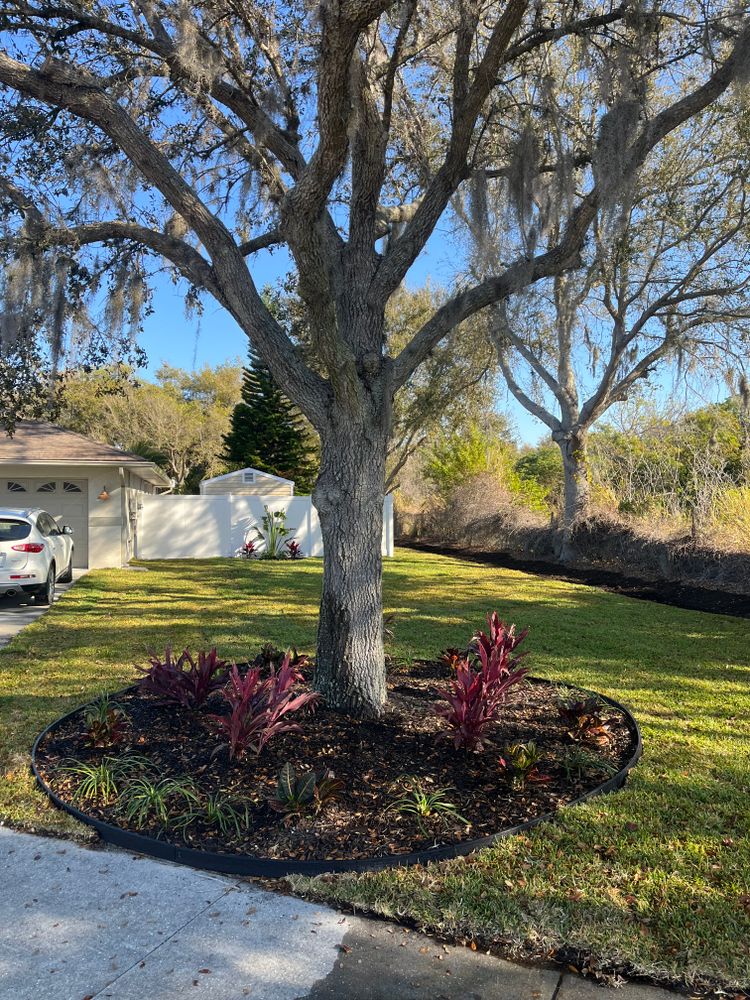 Artificial Turf Installation for Hefty's Helpers in Saint Petersburg,  FL