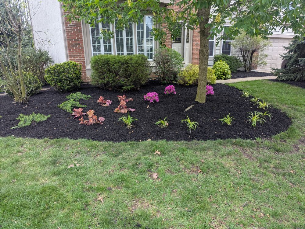 instagram for Double D Landscape Services in Columbus ,  OH